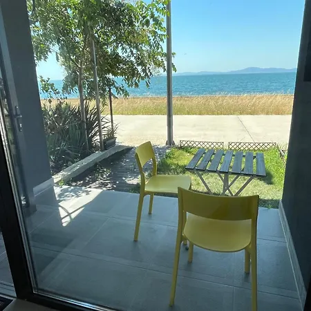 Aliara Dilara 포마리