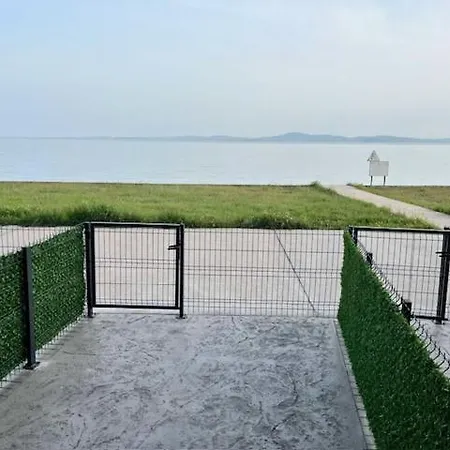 Aliara Dilara 포마리