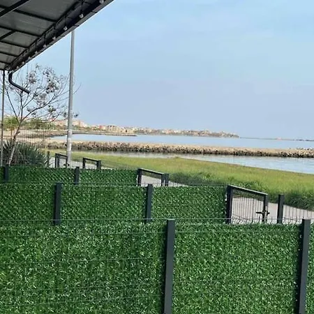 Aliara Dilara 포마리