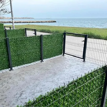 Aliara Dilara 포마리