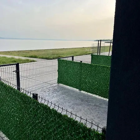 Aliara Dilara 포마리