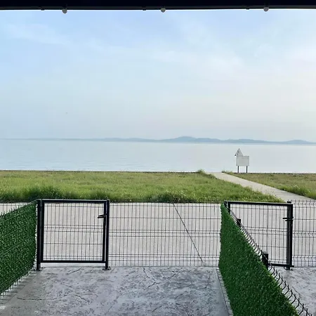 Aliara Dilara 포마리