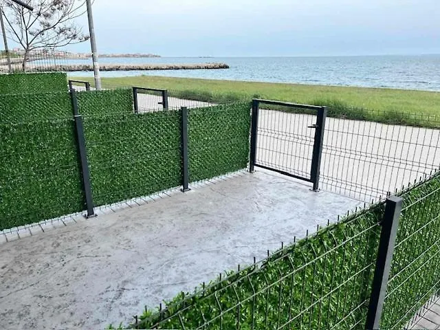 Aliara Dilara Pomorie